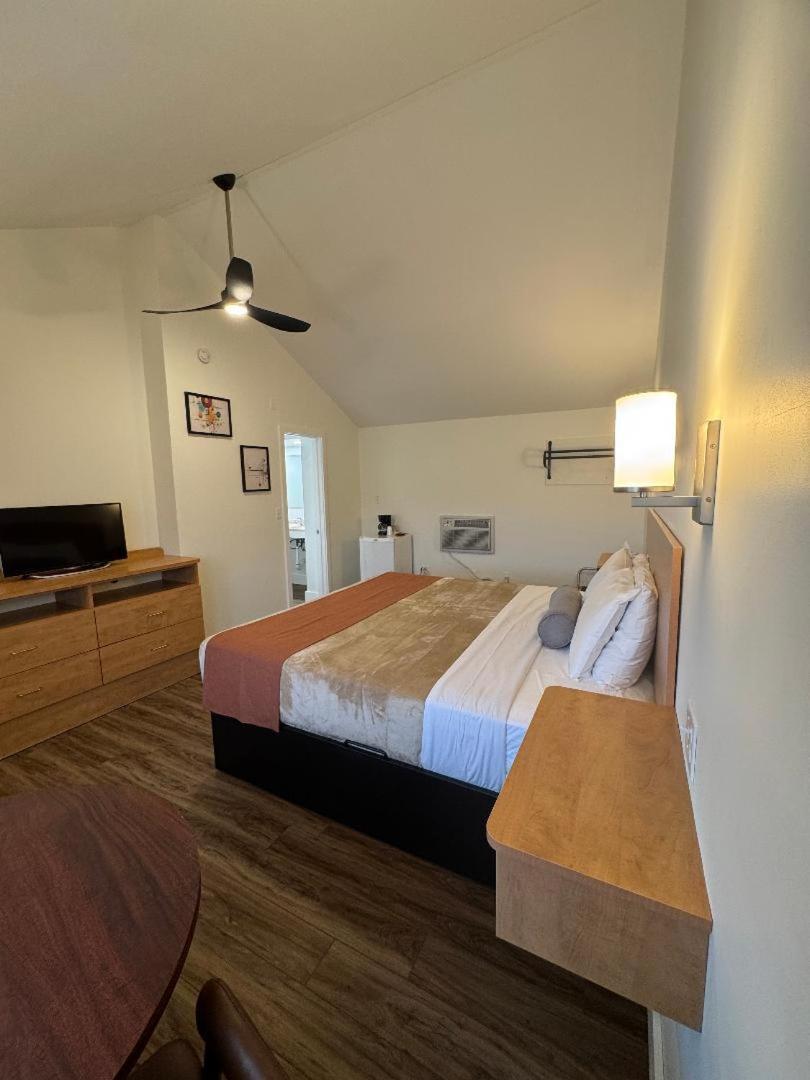 Studio Motel Of לייק ג'ורג' מראה חיצוני תמונה